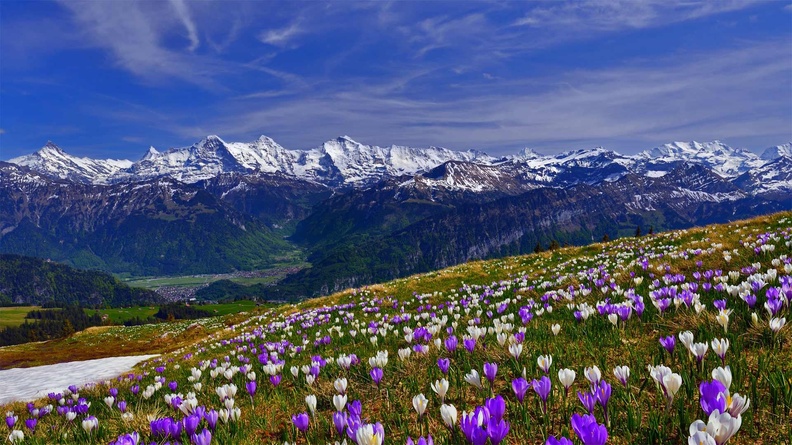 Spring in the mountains